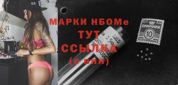хмурый Алексин