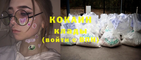 хмурый Алексин