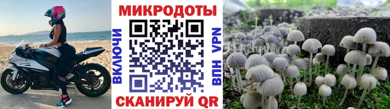 гидра рабочий сайт  Ростов-на-Дону  Галлюциногенные грибы мухоморы 