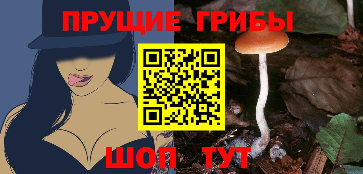 Псилоцибиновые грибы мицелий  Вход с VPN  Ростов-на-Дону  Галлюциногенные грибы Cubensis 